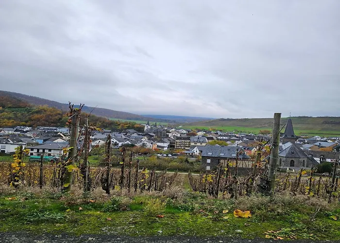 דירה Wine Country *