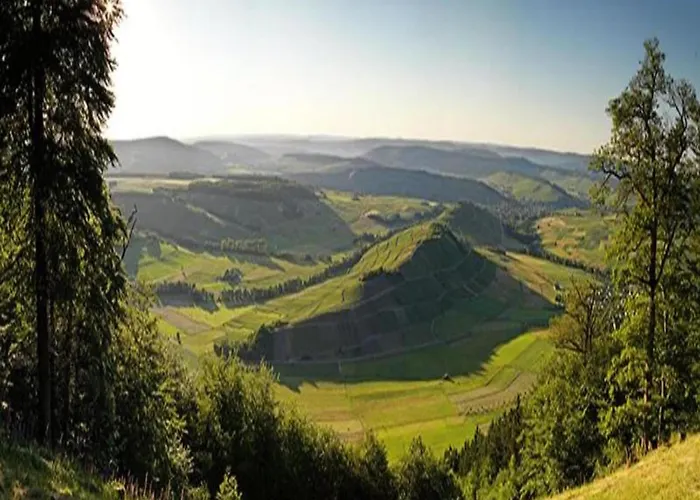 Wine Country Veldenz