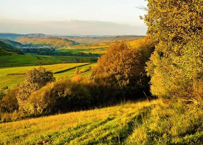 דירה Wine Country *