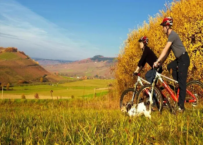 Wine Country * Veldenz